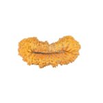 26 Mukhi Rudraksha 22.5mm 1.28gm - Rudraksha back