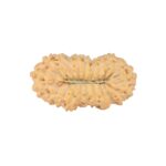 22 Mukhi Rudraksha 24.5mm 2.22gm - Rudraksha back