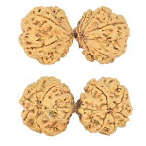 10 Mk G.S & Ganesh 49.2mm 10.79gm - Rudraksha