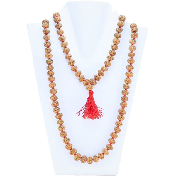 8 Mukhi Mala 11mm 48.81gm - Rudraksha