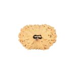 16 Mukhi Ganesh 22.8mm 2gm - Rudraksha