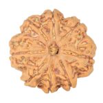 8 Mukhi Rudraksha 28.2mm 7.11gm - Rudraksha