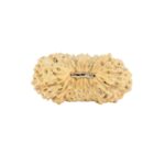 21 Mukhi Rudraksha 23mm 1.55gm - Rudraksha
