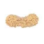 38 Mukhi Rudraksha 28.1mm 1.77gm - Rudraksha