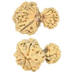 8 MK Garbhgauri & Ganesh 29.1mm 2.78gm - Rudraksha