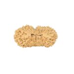 21 Mukhi Rudraksha 24mm 1.22gm - Rudraksha