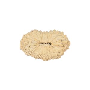 27 Mukhi Rudraksha 22.3mm 1.27gm - Rudraksha