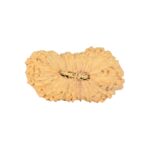 30 Mukhi Rudraksha 28mm 2.54gm - Rudraksha