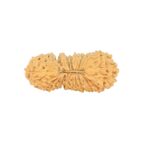 26 Mukhi Rudraksha 26.3mm 1.85gm - Rudraksha
