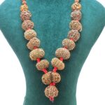 1 to 14 Mukhi Rudraksha Mala ( Siddha Mala ) 29.2345 - Rudraksha Zoom Image