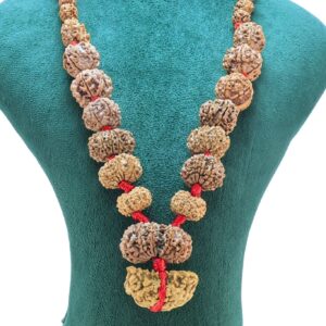 1 to 14 Mukhi Rudraksha Mala ( Siddha Mala ) 32.7654 - Rudraksha Zoom Image