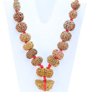 1 to 14 Mukhi Rudraksha Mala ( Siddha Mala ) 40.1785 - Rudraksha Zoom Image