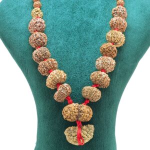 1 to 14 Mukhi Rudraksha Mala ( Siddha Mala ) with Sawar - Rudraksha Zoom Image
