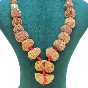 1 to 14 Mukhi Rudraksha Mala ( Siddha Mala ) 34.4738 - Rudraksha Zoom Image