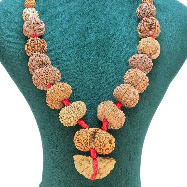 1 to 14 Mukhi Rudraksha Mala ( Siddha Mala ) 34.4738 - Rudraksha Zoom Image