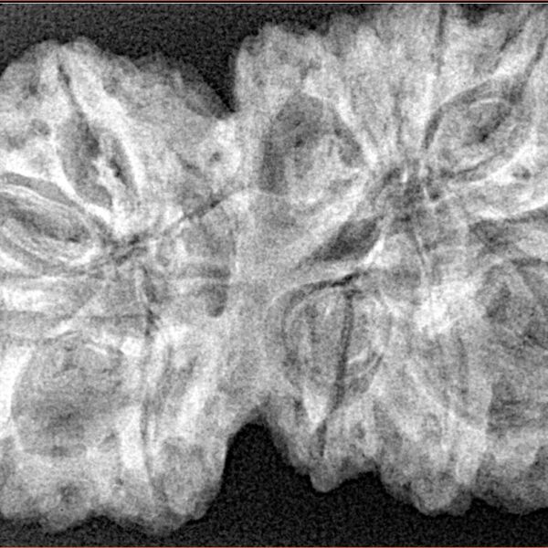 14 Mk Gaurishankar 38.6mm 7.72gm - Xray