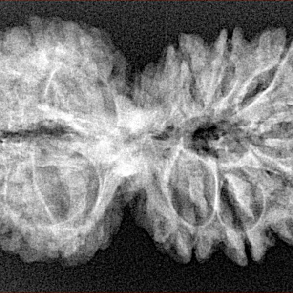 14 Mk Gaurishankar 35.8mm 5.68gm - Xray