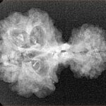 8 MK Garbhgauri & Ganesh 29.1mm 2.78gm - Xray