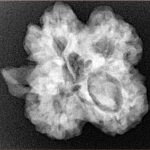 ( U/D ) Ganesh 25.7mm 4.85gm - Xray