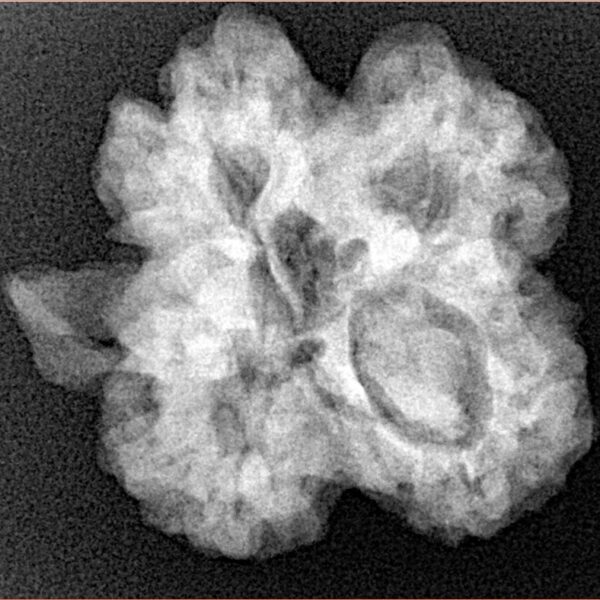 ( U/D ) Ganesh 25.7mm 4.85gm - Xray
