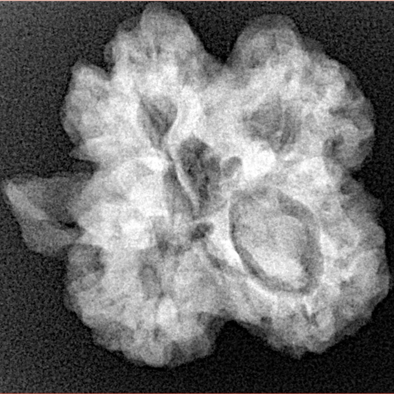 ( U/D ) Ganesh 25.7mm 4.85gm - Xray